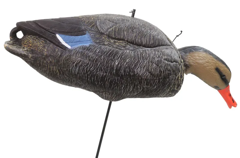 DK5674H-021.jpg