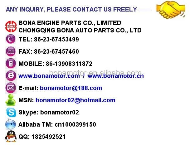 ALI GASGOO -  JUDY.jpg