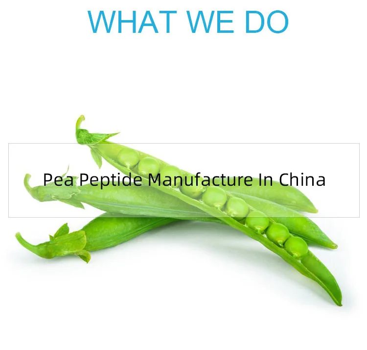 pea peptide page.jpg
