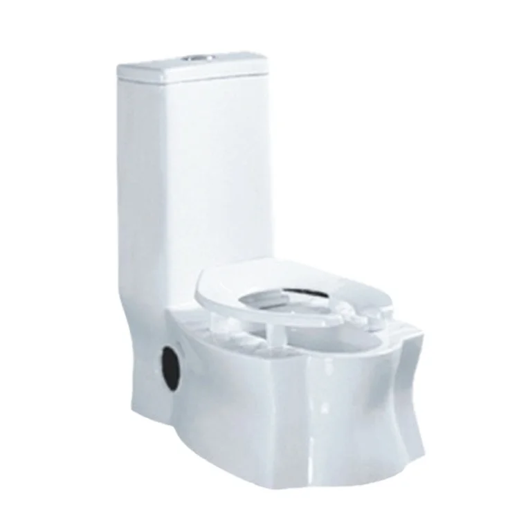 New Design Two Function Squatting Pan Toilet With Seat Cover Siphonic