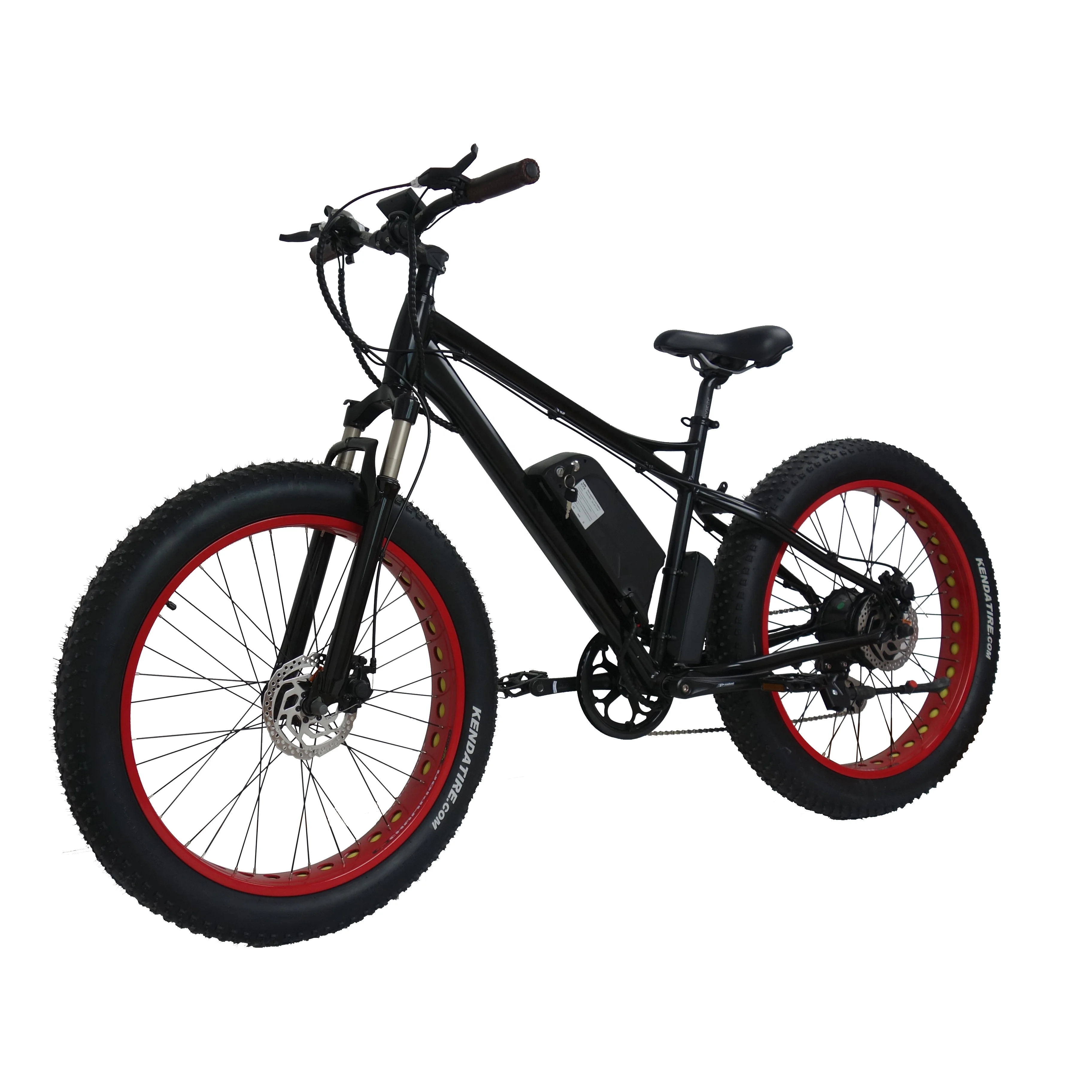 electric beach bicycle