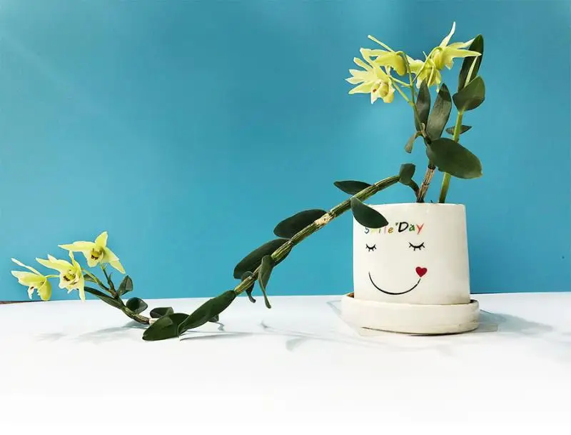 61656344-9144-4C2F-B9E2-880FDE4B3CF9