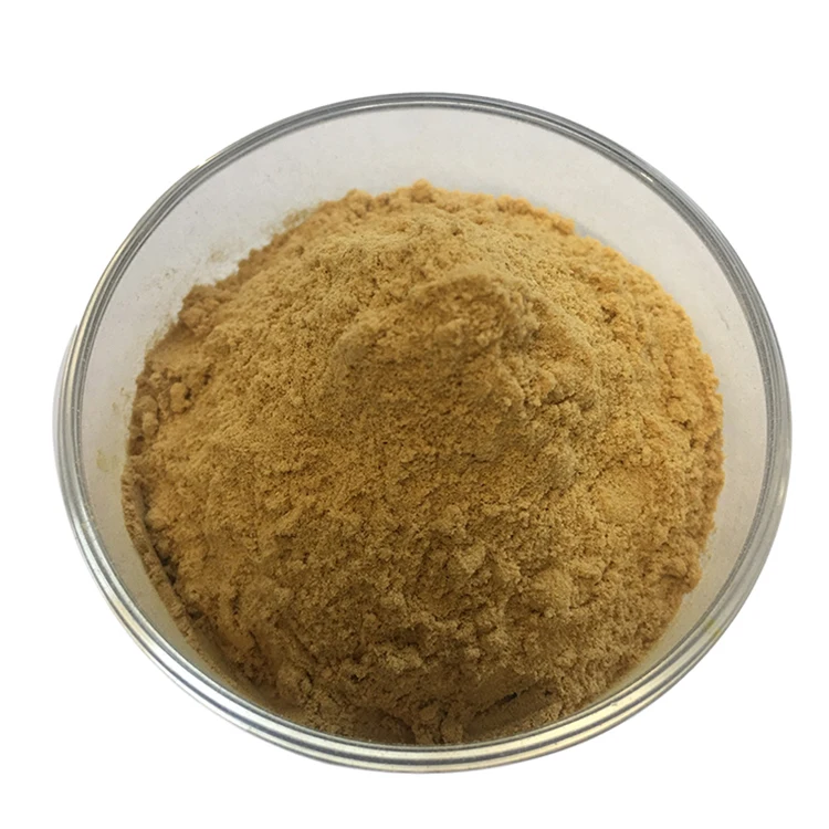 Bulk Supply High quality Camellia Seed Extract Tea Saponins Powder