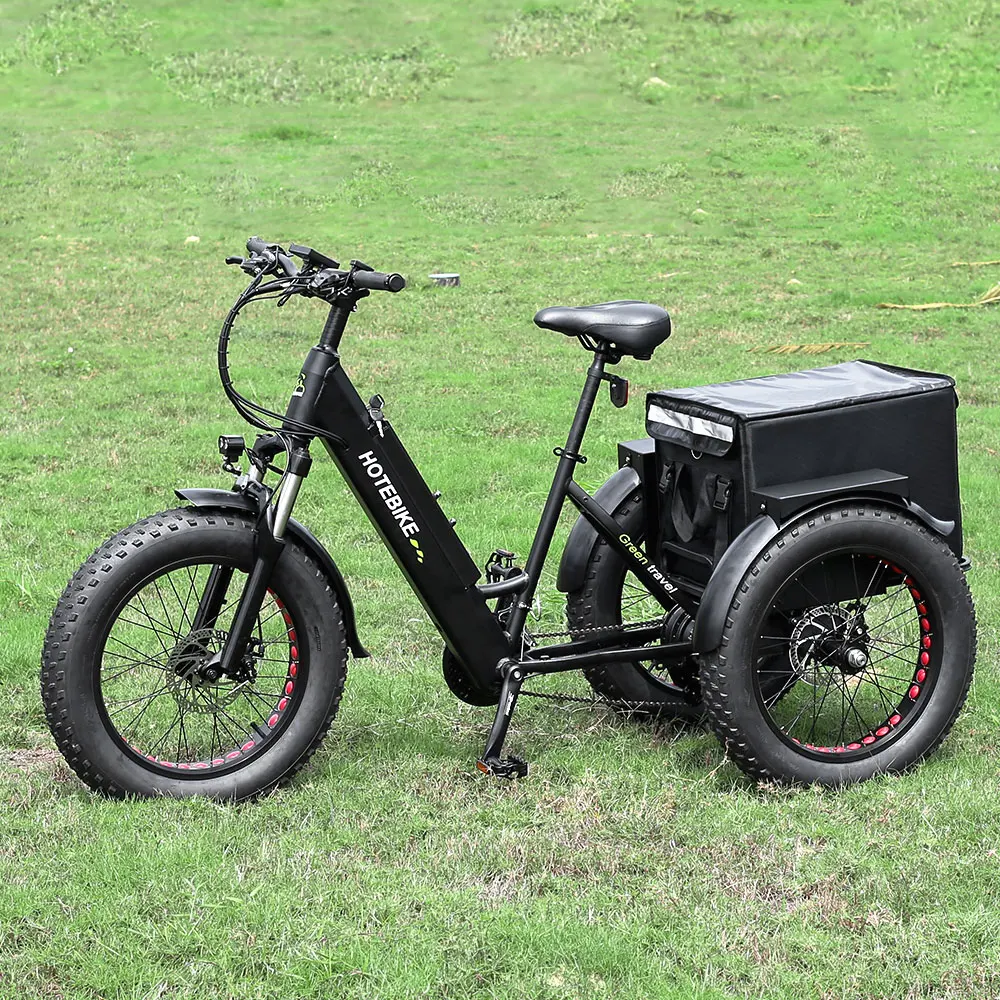 Adult Electric Tricycle 20*4.0 Inch Fat Tire Three Wheel Electric Tricycle 36v350w 20 Inch