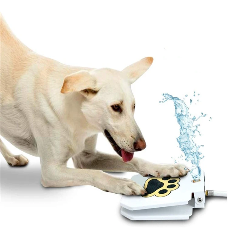 automatic dog water bowl