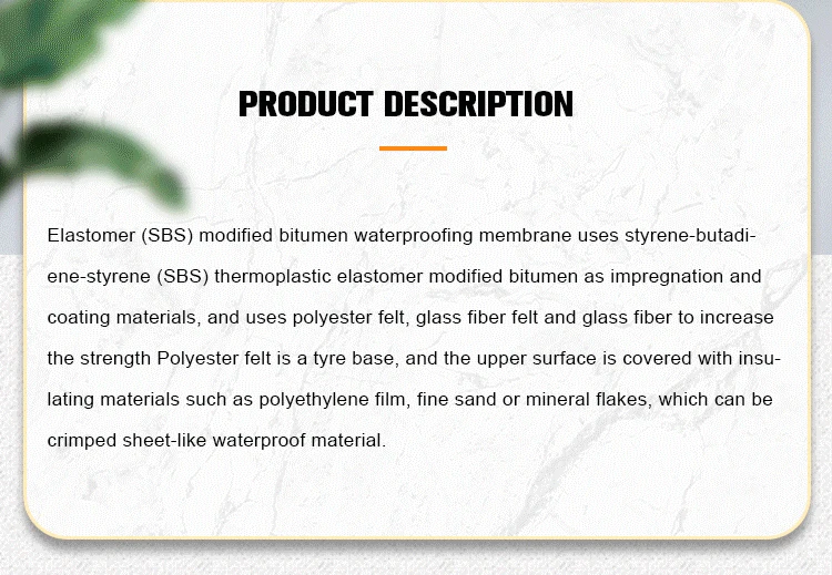 SBS(3)_02.jpg