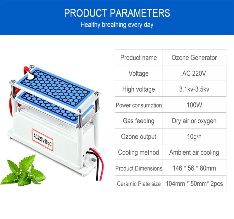 Portable Ceramic Ozone Generator 220V/110V 10g Double Integrated Long Life Ceramic Plate Ozonizer Air Water Air Purifier