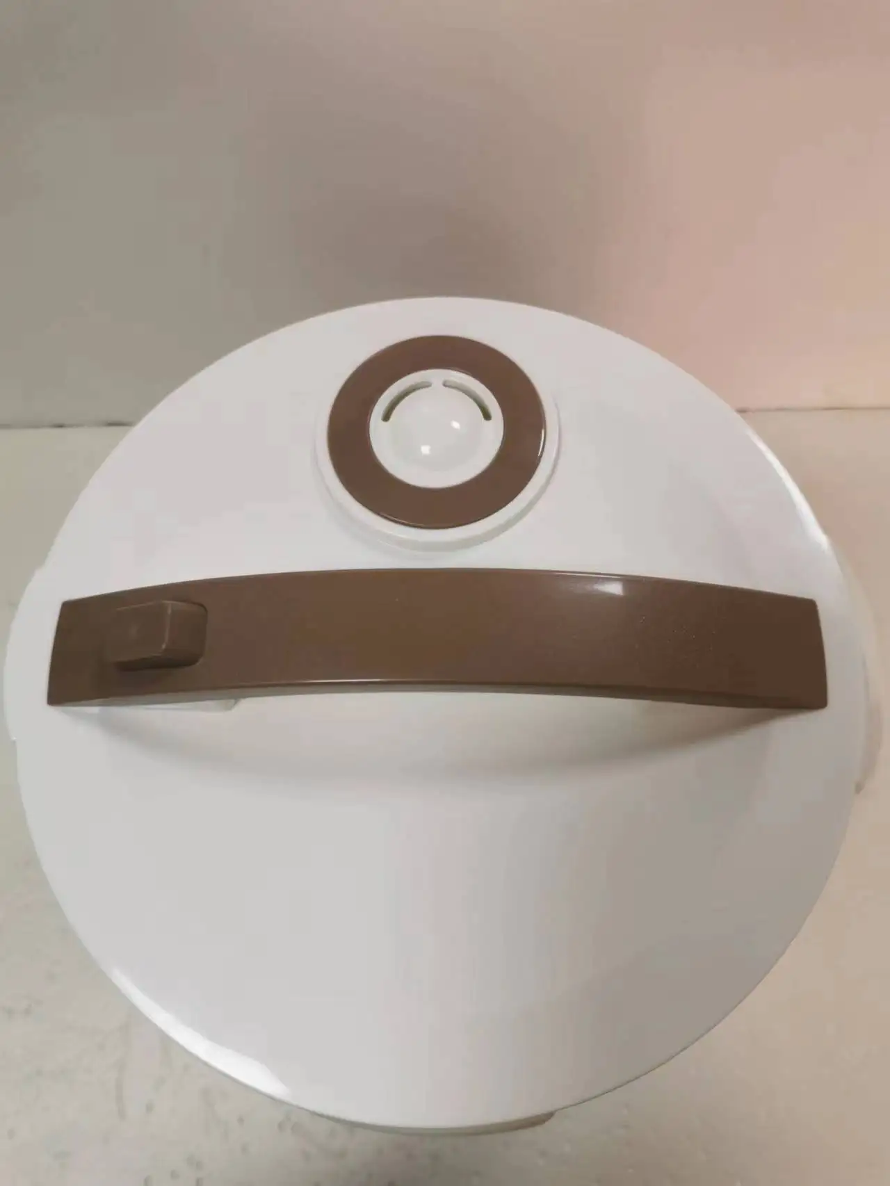 Multifunctional Black Garlic Machine Azk186 6l Large Capacity Automatic