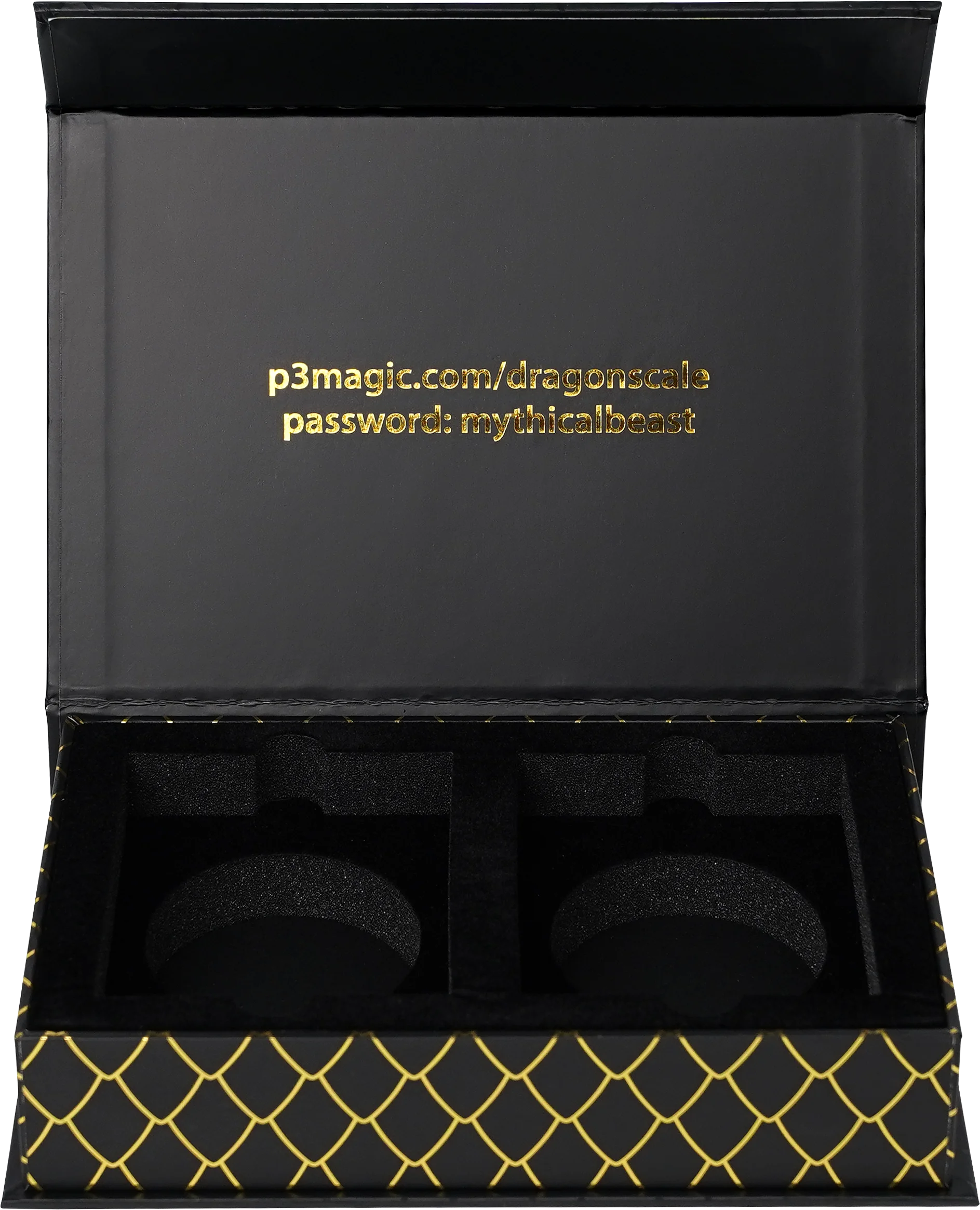 Rigid Magnetic Box