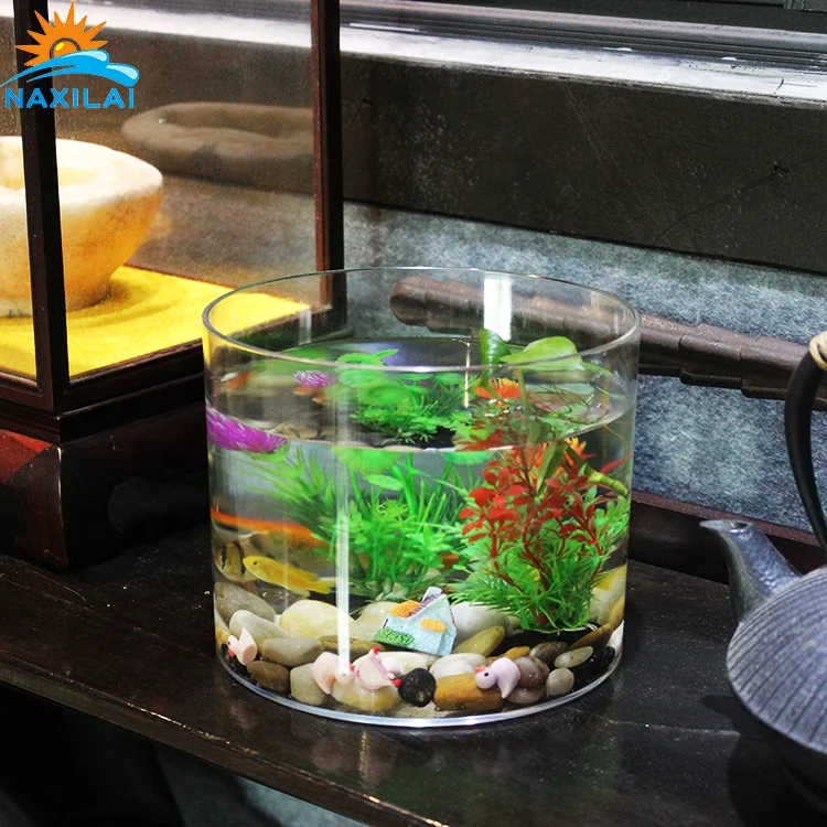 small fish tank decor