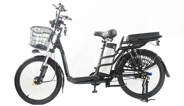 cargo e bike