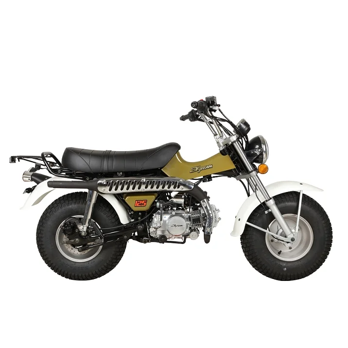 SKYTEAM 125cc E5 4 stroke T-REX RV90 vanvan beach motorcycle dirt bike (EEC  EURO5 EURO4 approval)