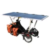 /product-detail/2019-new-aluminum-alloy-frame-solar-energy-system-recumbent-seat-electric-disabled-tricycle-62211168338.html
