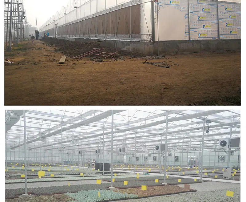 commercial tunnel greenhouse.jpg