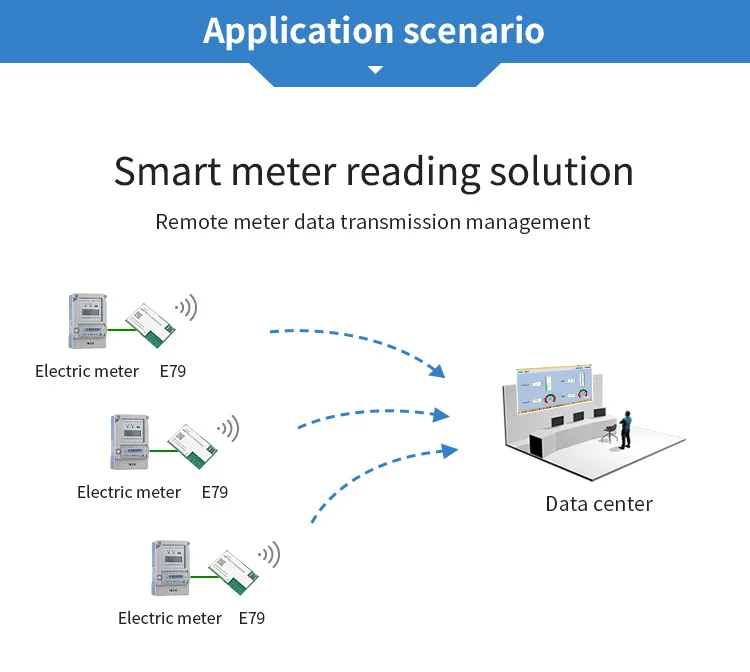 Sub-1g 2.4g Dual Band Wireless Module Soc E79-900dm2005s 868 Mhz 915 ...