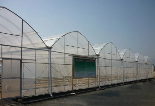 orchid greenhouse