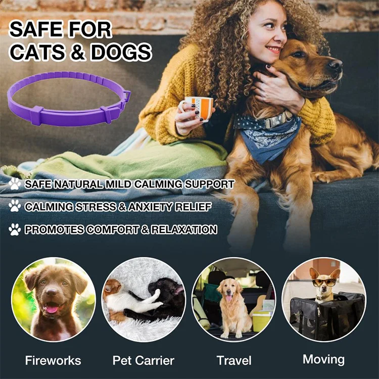 safe calm collar