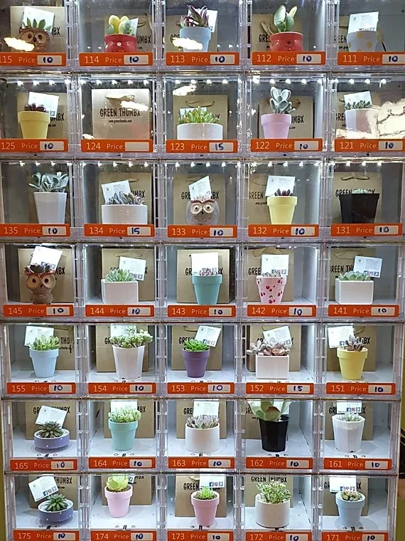green plant vending machine