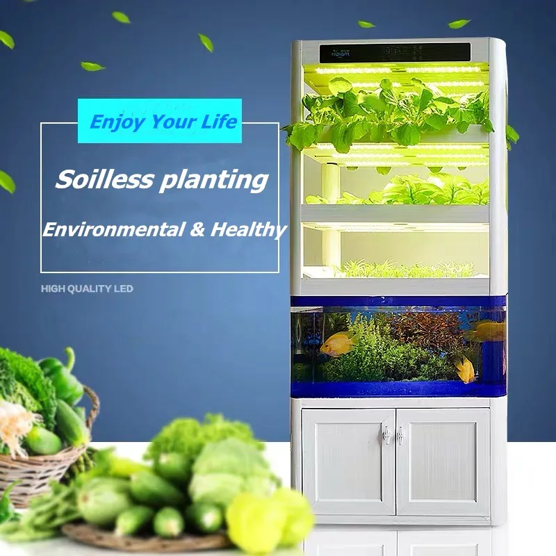 Creative Soilless Hydroponic Growing & Fish Tank Aquaponic System Kit