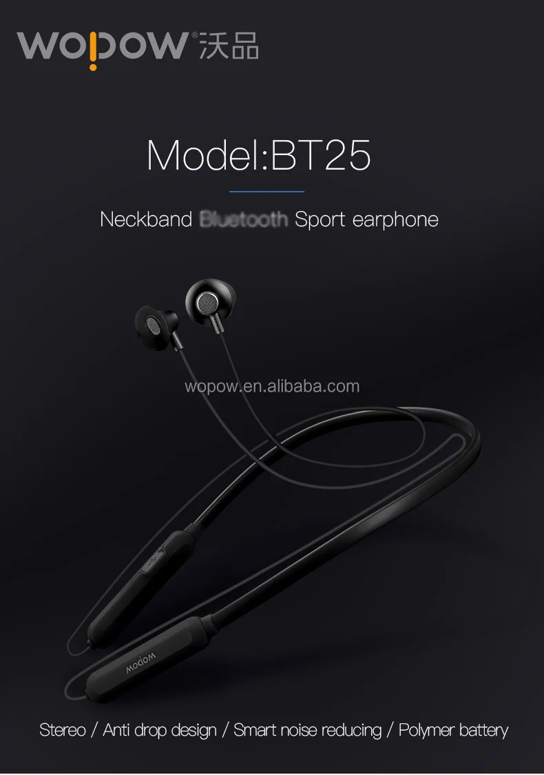 BT25_01.jpg