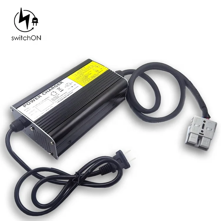 
Excellent Universal 3.7V Lithium Battery Charger 4.2V 20A 1S For Hoverboard Balance Wheel Segway 