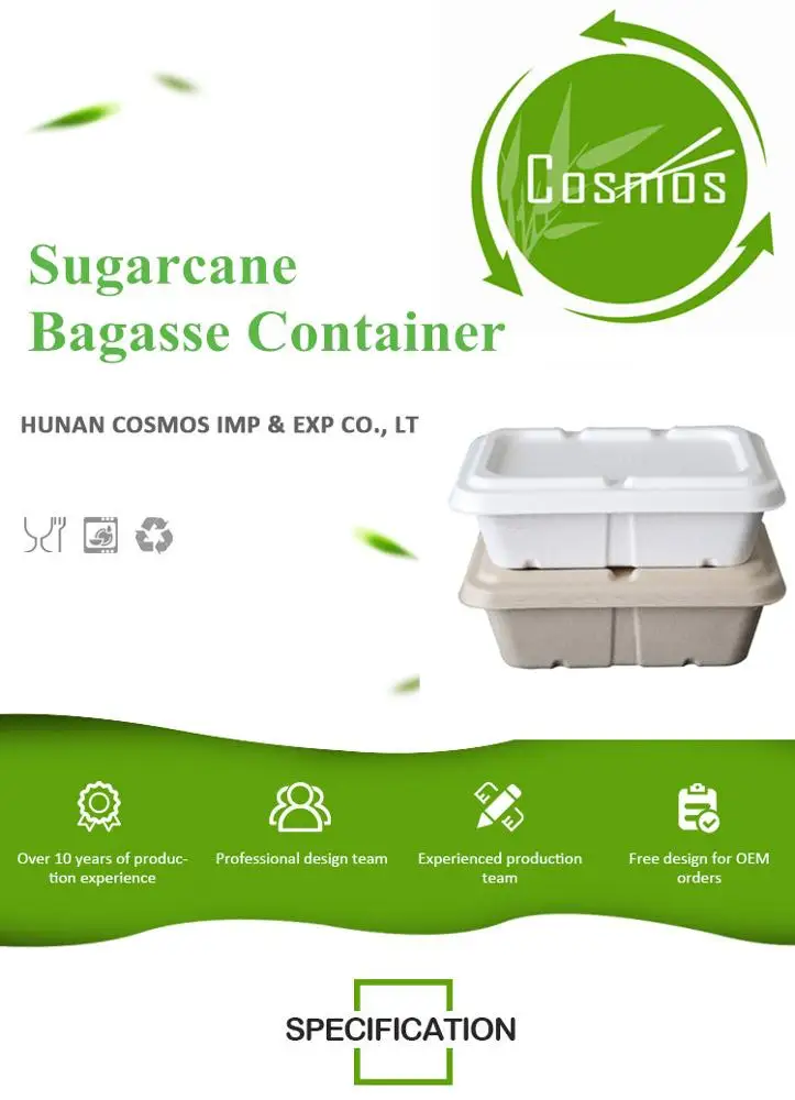 生态友好可堆肥一次性甘蔗渣带走食品容器 - buy disposable bagasse