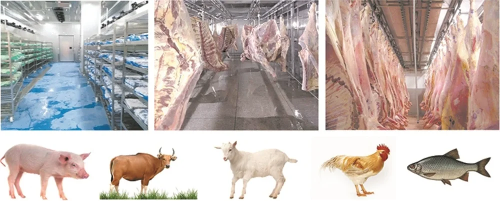 Meat plant freezing and thawing machine