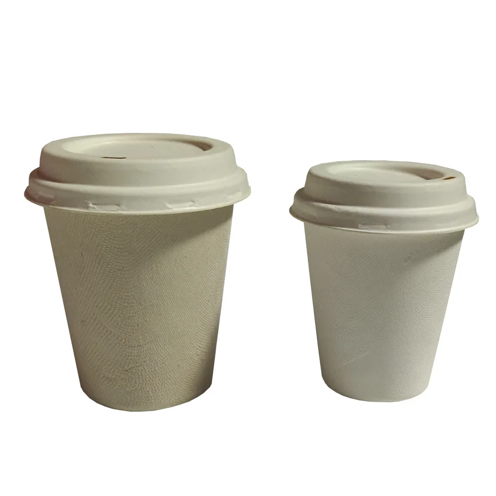 eco friendly disposable coffee cups