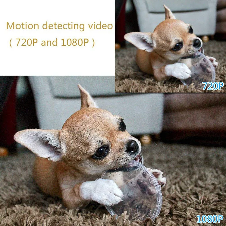 mini dv camera-09.jpg