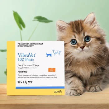 Doxycyclin Für Katzen