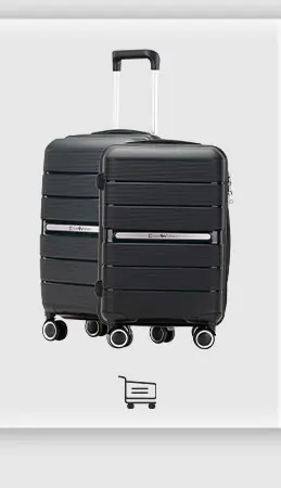 PP luggage sets