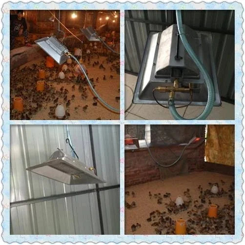 Poultry Heater Brooder Manual Chicken Shed Gas Brood Gas Heating