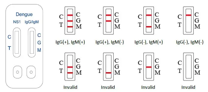 Kit De Prueba Combinado De Dengue Ns1 Ag Igg Igm Kit De Diagnóstico