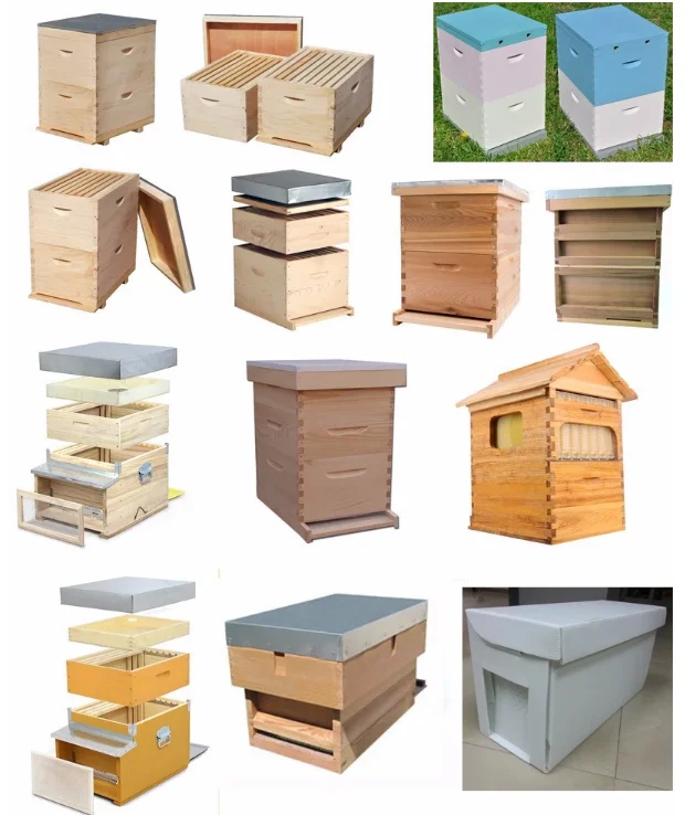Hot Product Wooden Beehive Top Bar Beehive Buy Top Bar Beehive