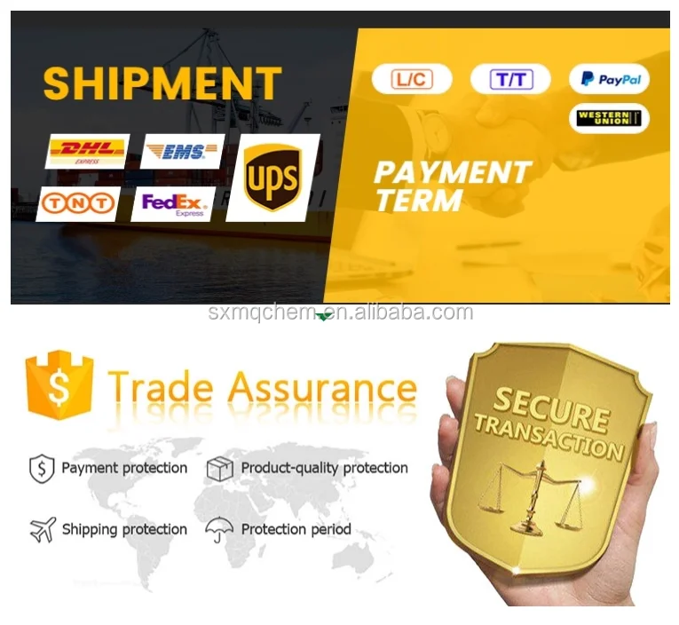 shipment and payment term