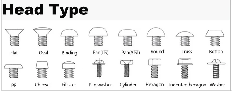 head type.jpg