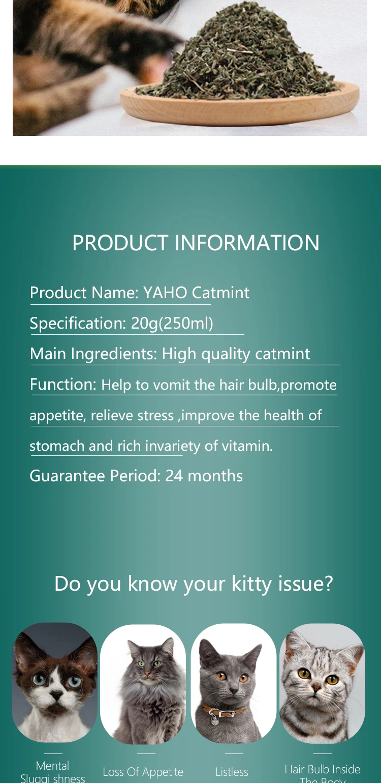 Organic Pet Treats Pet Supplies Cats Food Catnip Cat Supplies Catmint