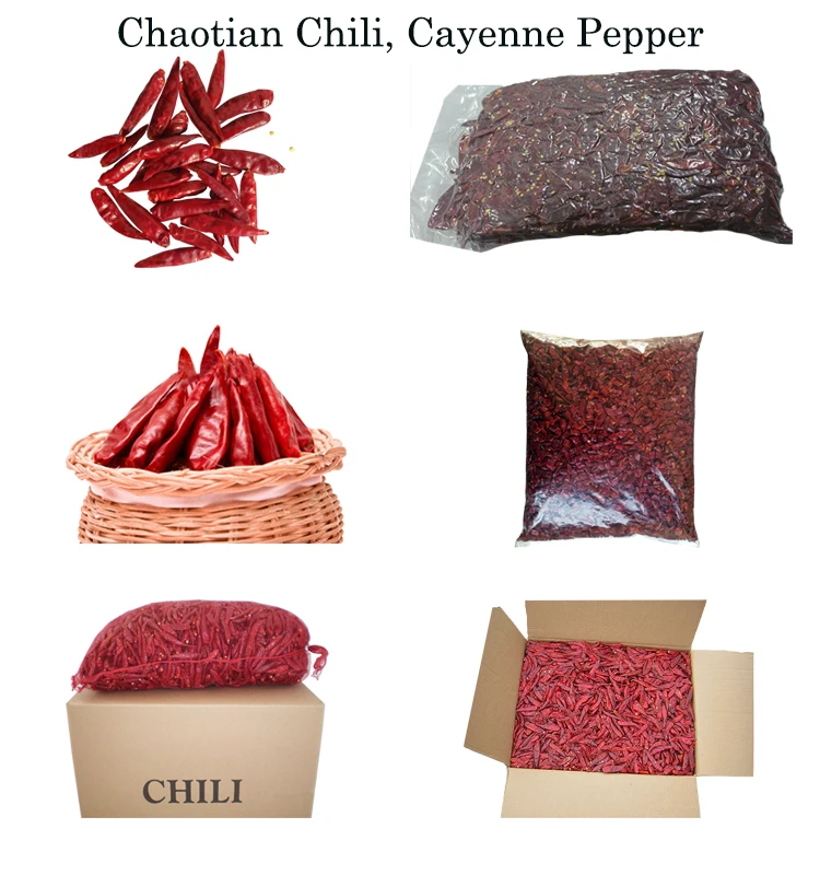 White Pepper Spice, Black Pepper Price, Vietnam Black Pepper 500 KOSHER/ HALAL/ HACCP