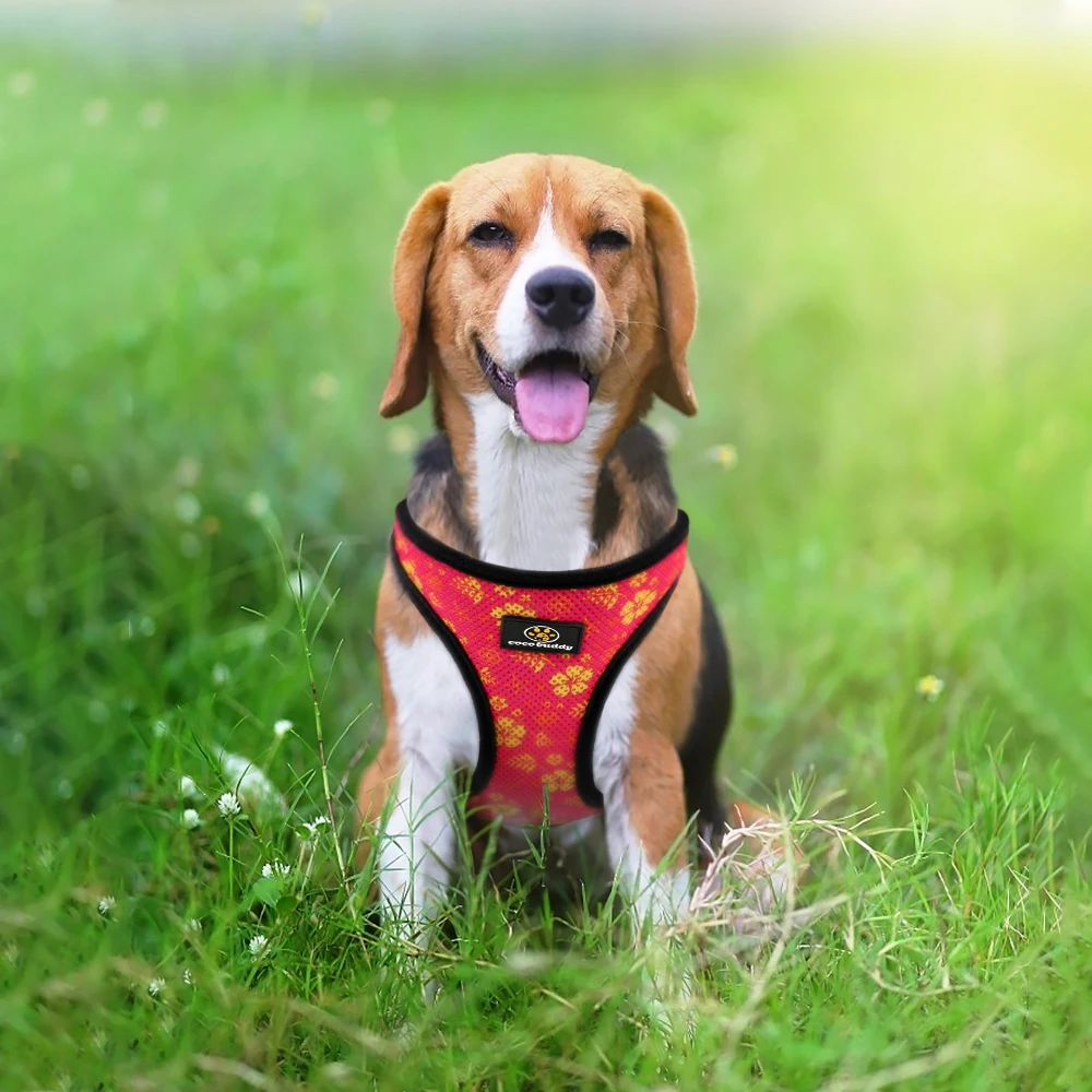 Fashion Personalized Designer Reversible Harness Soft Mesh Padded