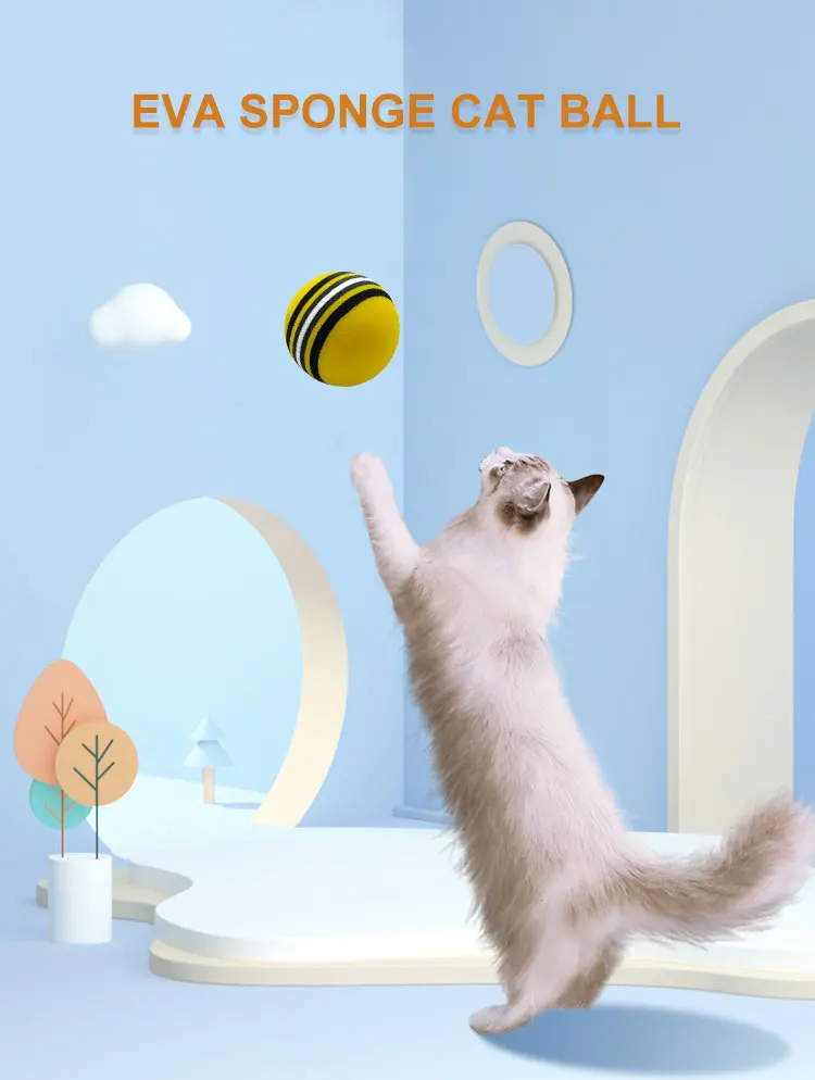 cat-ball--_01.jpg