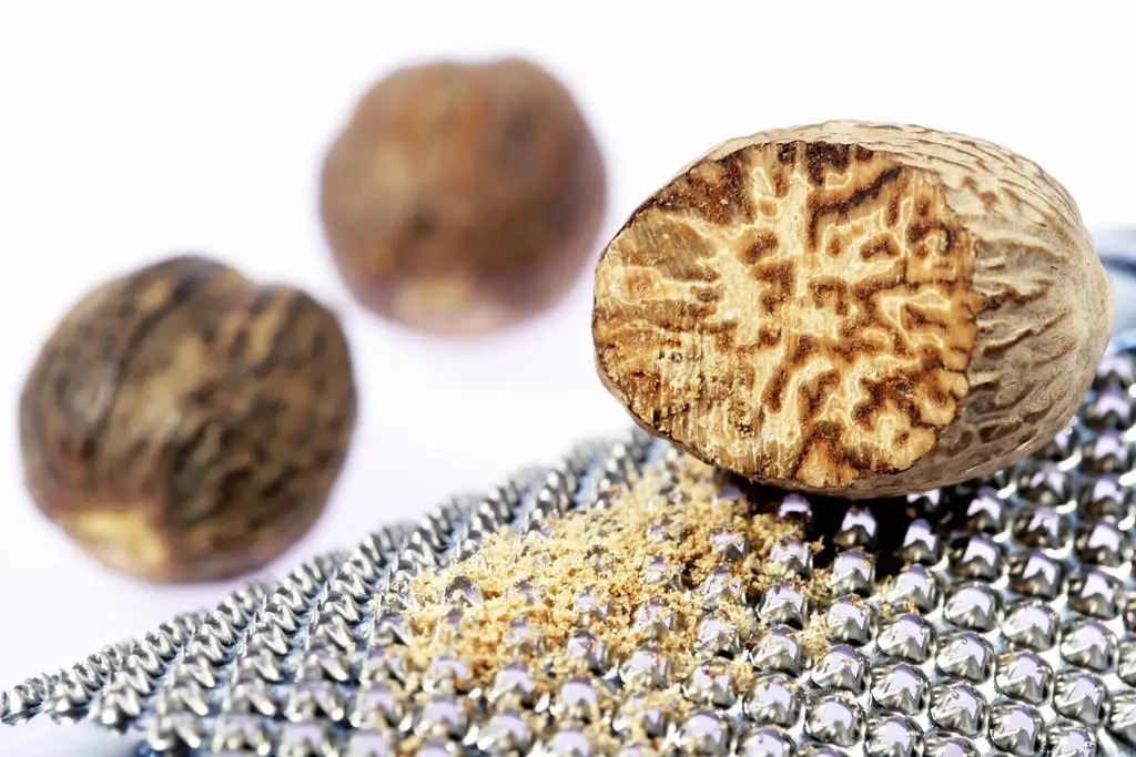 Factory Pure Nutmeg Seed Extract 99 Myristicin Buy Nutmeg Seed