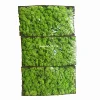 Soft and Fresh Preserved Moss Stabilized Moss Wholesale From Kunming China