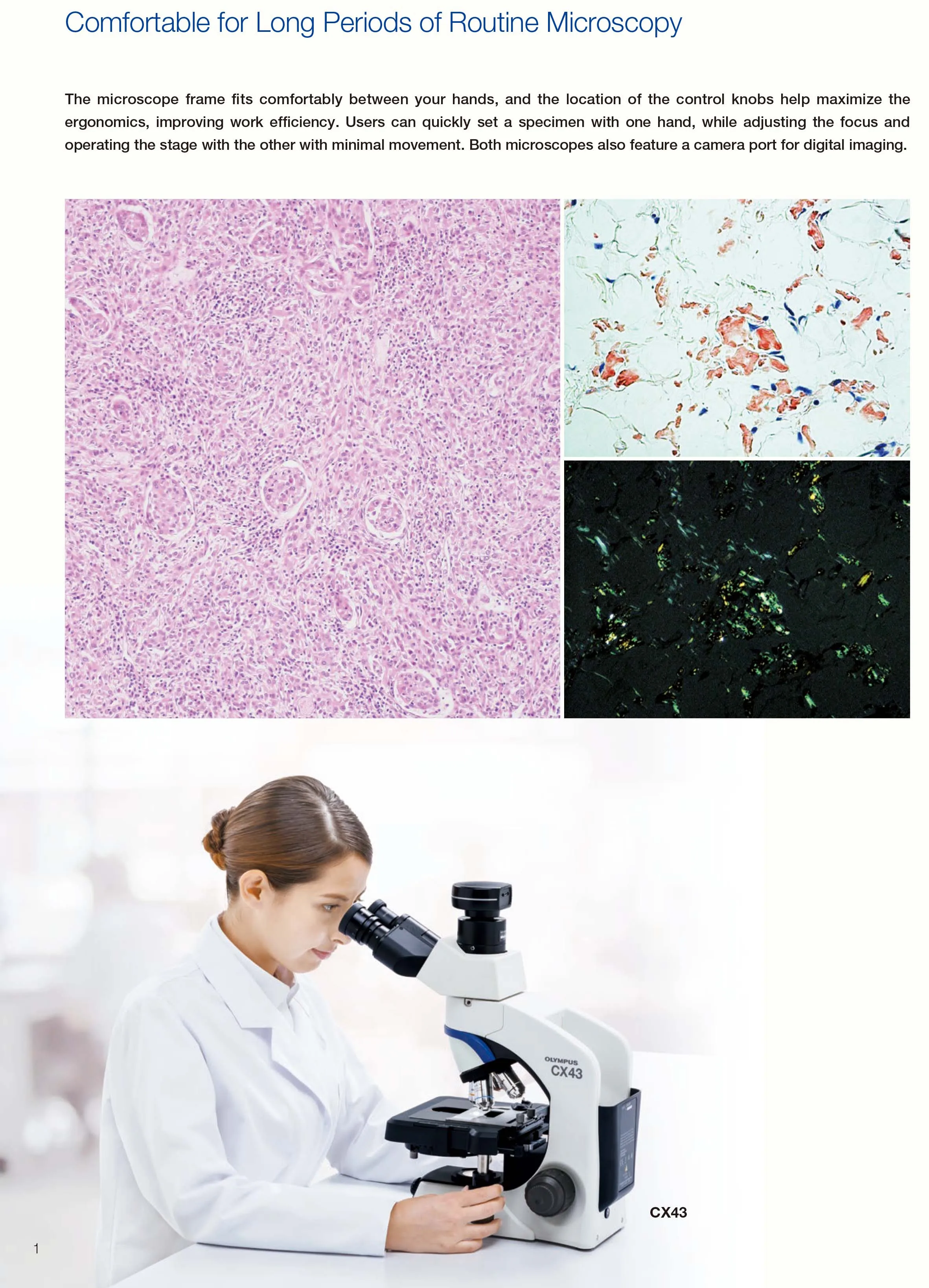 Olympus Cx43 Biological Microscope Buy Cx43 Biological Microscope