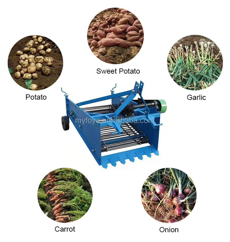 Agricultural Machinery Row Potato Harvester Machine Small Potato