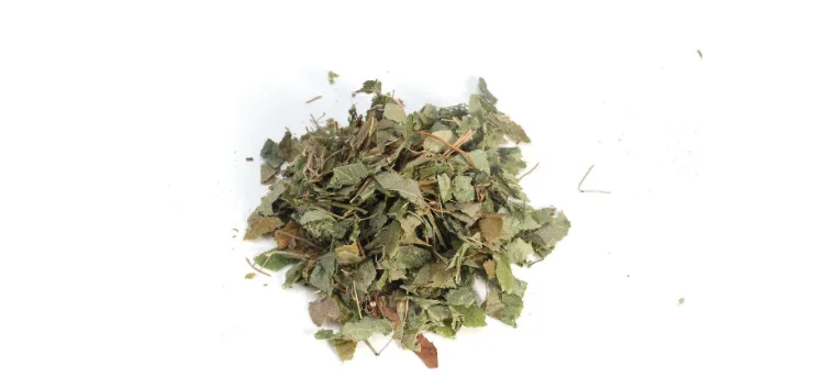 horny goat weed.jpg