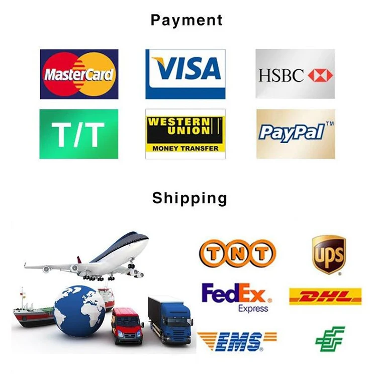 68494
