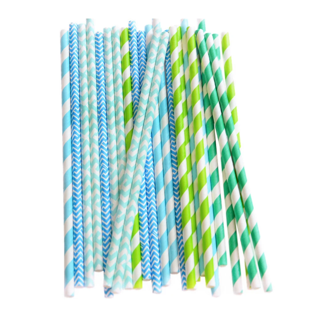 Shunli Biodegradable Individually Wrapped Paper Straws Disposable