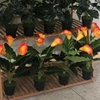 Hot Sale plastic Bonsai Artificial tree Custom make to order For Home Decoration peacock tree Artificial candle potted