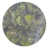 Greenhouse insect screen proof net high density polyethylene HDPE anti hail bird fly 50 mesh insect proof net