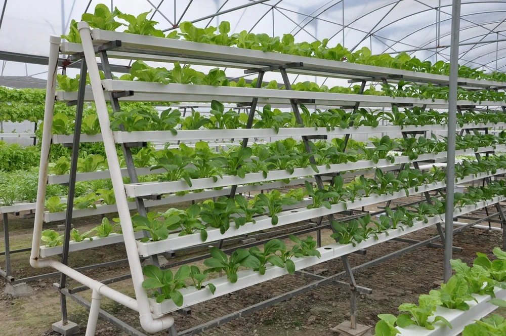 Hydroponics System